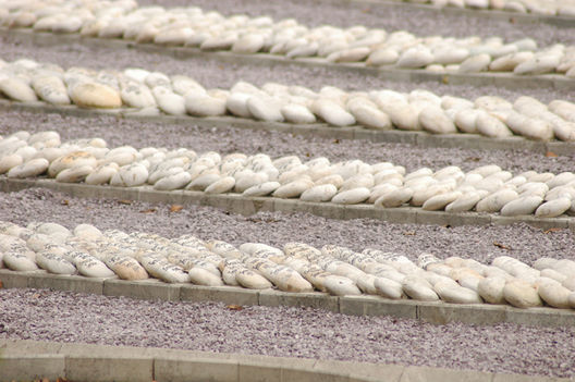 El memorial a los más de 15 mil desaparecidos en el Ojo que Llora