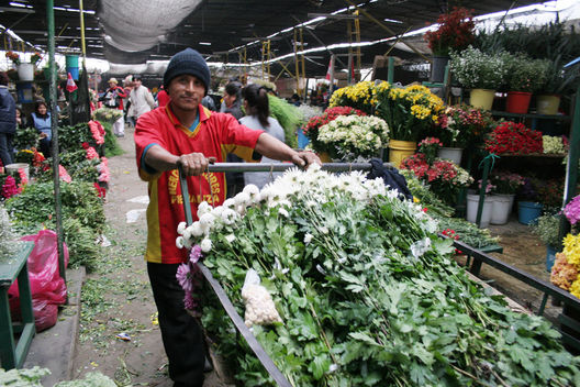 Una jornada más de trabajo en el mercado de flores Piedra Liza en el distrito del Rímac
