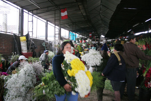 Una jornada más de trabajo en el mercado de flores Piedra Liza en el distrito del Rímac