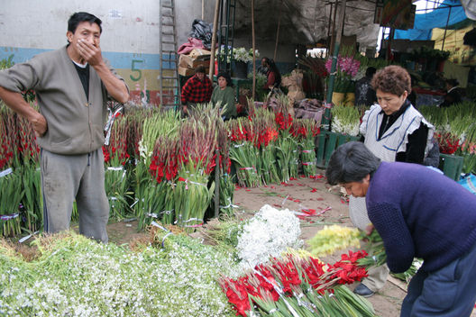 Una jornada más de trabajo en el mercado de flores Piedra Liza en el distrito del Rímac