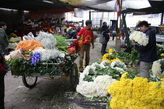Una jornada más de trabajo en el mercado de flores Piedra Liza en el distrito del Rímac