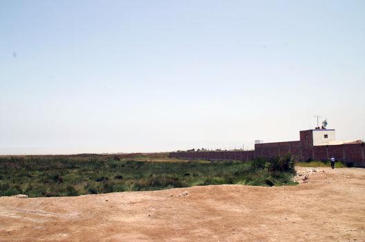 Los Humedales de Ventanilla, un verdadero atractivo turístico