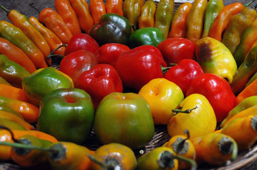 El  ají es un pimiento que se utiliza en muchos tipos de cocinas tradicionales del Perú
