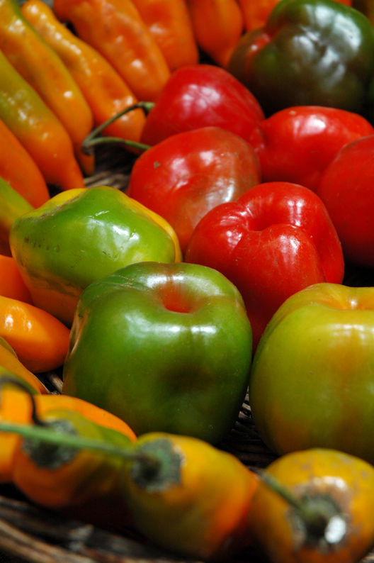 El  ají es un pimiento que se utiliza en muchos tipos de cocinas tradicionales del Perú