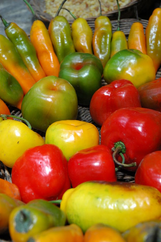 El  ají es un pimiento que se utiliza en muchos tipos de cocinas tradicionales del Perú