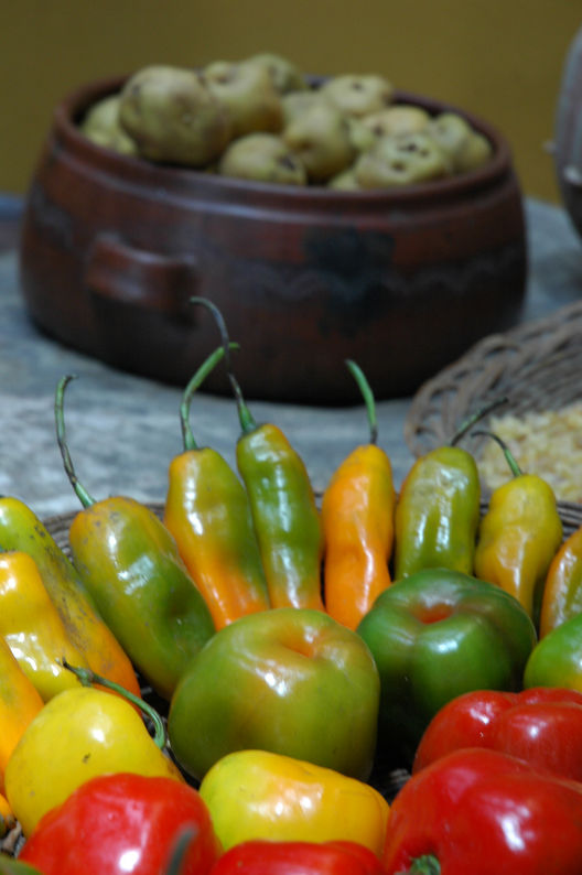 El  ají es un pimiento que se utiliza en muchos tipos de cocinas tradicionales del Perú