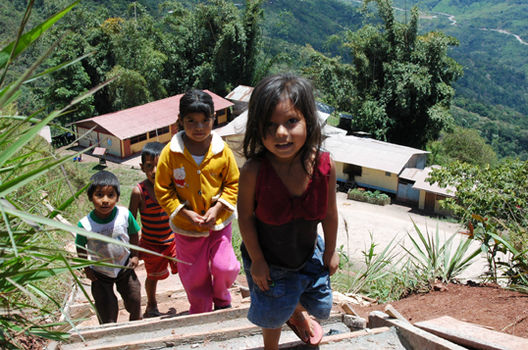 Niños de Pucallpa, por una sonrisa perpetúa sin trabajos forzados