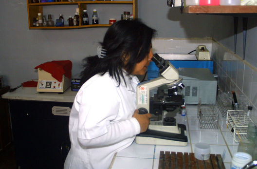 Los químicos farmacéuticos son especialistas con una sólida formación científica en medicamentos