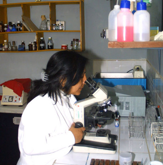 Los químicos farmacéuticos son especialistas con una sólida formación científica en medicamentos