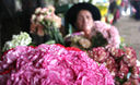 Venta de rosas en el 'Mercado de Flores de Lima' se incrementa por las fiestas navideñas.