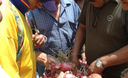 Estibadores en la Parada