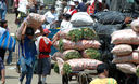 Mercado Mayorista