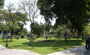Parque las Camelias. Lince
