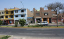 Avenida los Tusilagos