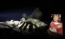Prueban luces en la ciudadela de Machu Picchu