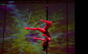 Pole Dance en el Coliseo San Agustin