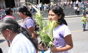Miles de personas visitaron iglesias y abarrotaron las calles por la Semana Santa 2012