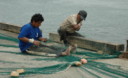 Pescadores trabajan, pero presevando los recursos de nuestro mar, el Mar de Grau