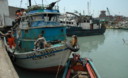 Barcos de pesca, las famosas 'bolicheras', preparándose para ir en busca de peces u otras especies acuáticas del mar peruano