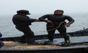 Un buzo desciende en las aguas del mar peruano