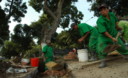 Trabajadores municipales mejoran veredas, parques y jardines de la ciudad de Lima este 2012
