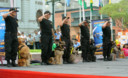 Policía canina realizó una exhibición en el Congreso de la República