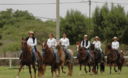 Caballos de paso en el norte del Perú, en la Región Piura