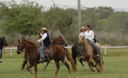 Caballos de paso en el norte del Perú, en la Región Piura