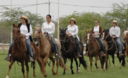 Caballos de paso en el norte del Perú, en la Región Piura
