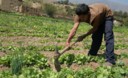 Agricultores de diferentes líneas productivas en pleno trabajo