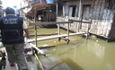 Pobladores afectados por inundaciones han afectado casas y colegios en la ciudad de Loreto