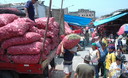 Los Camiones de carga llegan desde muy temprano a la parada con mercadería de tubérculos para ser distribuida por los estibadores