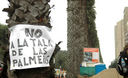 Tala de palmeras en cruce de Coronel Portillo con Pezet en San Isidro