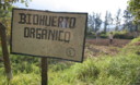 Un biohuerto es un área donde se practica la siembra, el manejo y conducción de cultivos con aplicación de materia orgánica