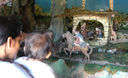 Exposición de los llamados Nacimientos de Navidad en la Clínica San Juan de Dios (Diciembre 2011)