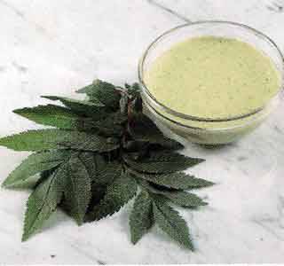Crema de huacatay