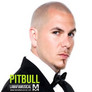 Pitbull