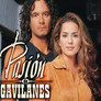 Pasión de gavilanes